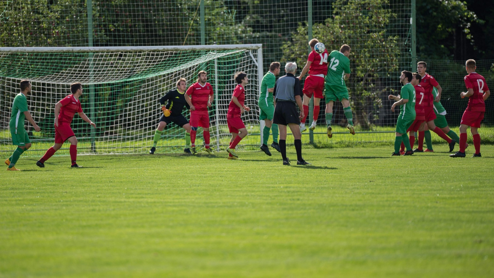  DSC2646 (1) (1)